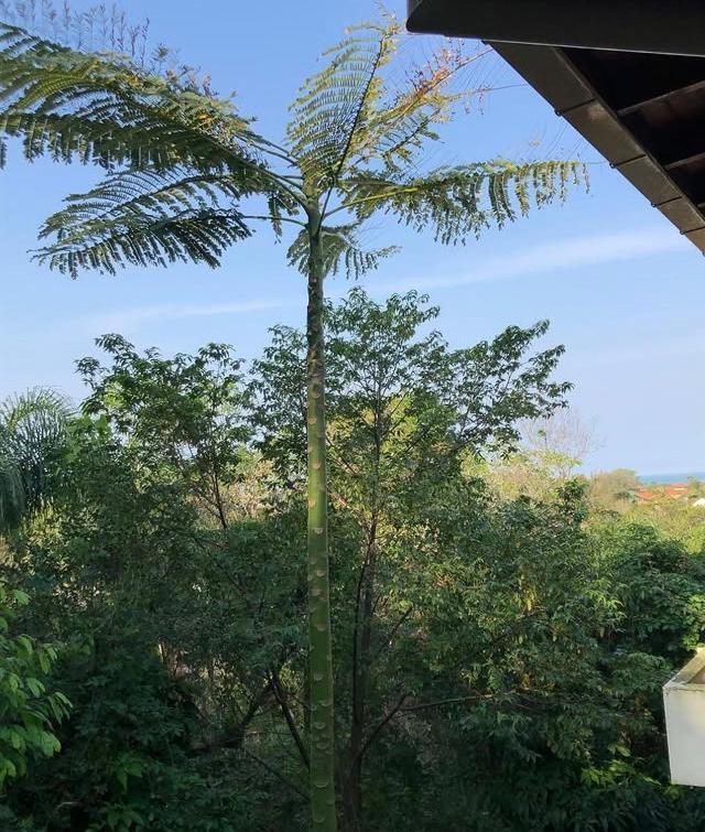 Casa Figueira Na Pedra Hotel ฟลอเรียนอโปลิส ภายนอก รูปภาพ