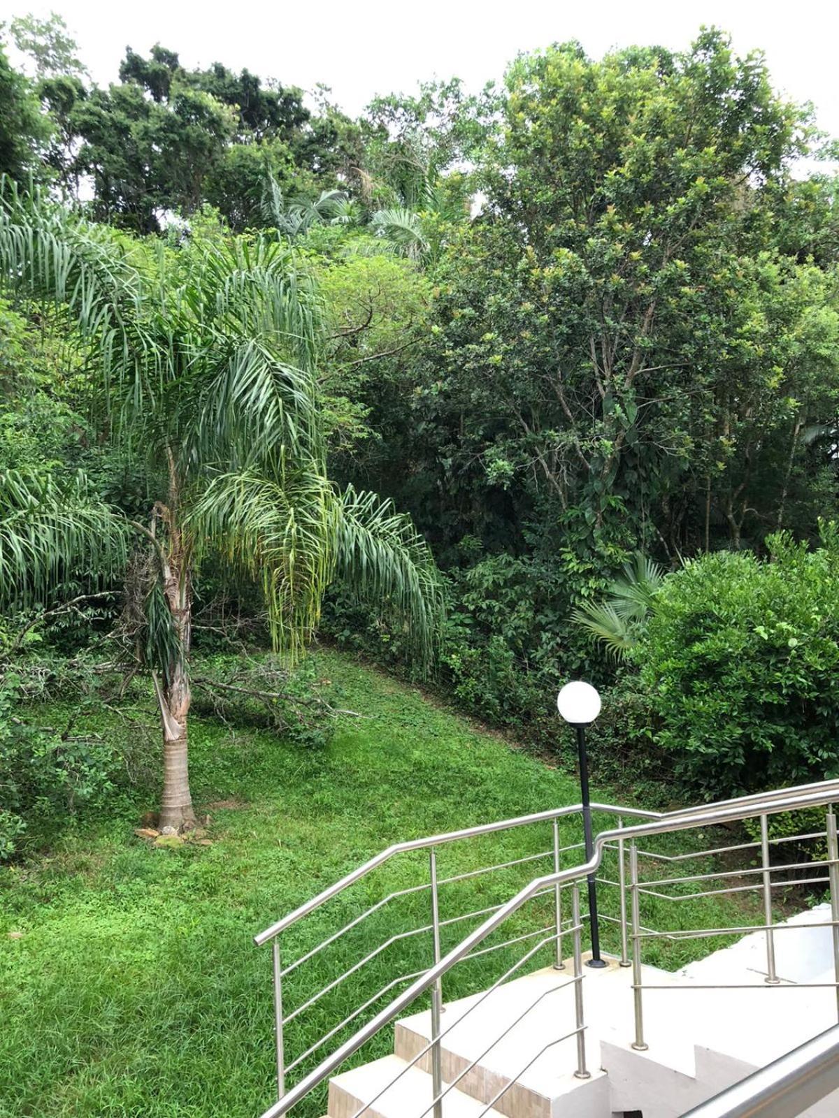 Casa Figueira Na Pedra Hotel ฟลอเรียนอโปลิส ภายนอก รูปภาพ